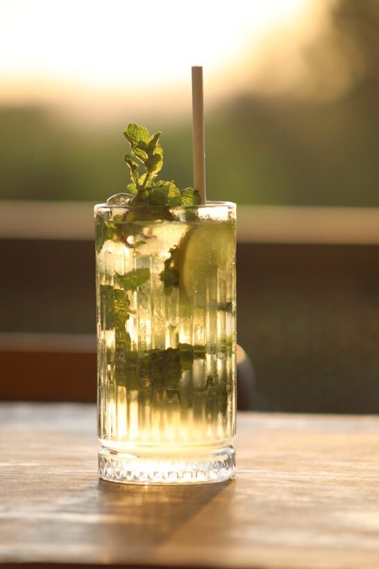 Refreshing mojito in a highball glass.