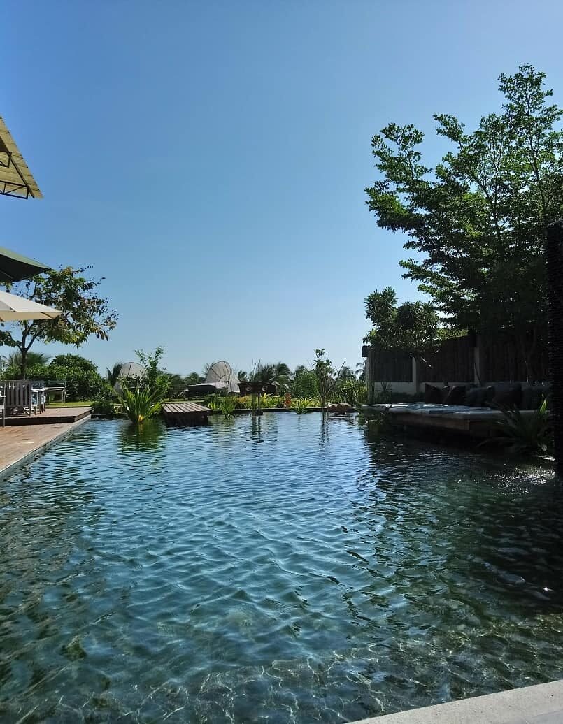 Natural-style swimming pool surrounded by lush greenery under a clear blue sky.