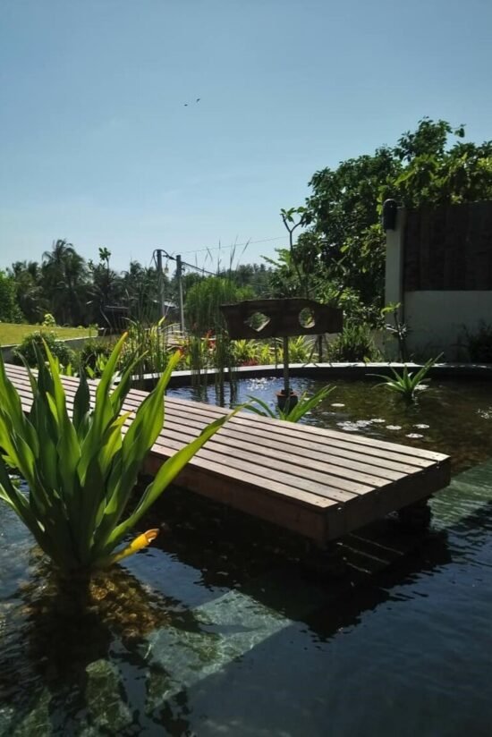 A serene garden pond with a wooden walkway bridge crossing over it, surrounded by lush greenery and ornamental plants under a clear blue sky.